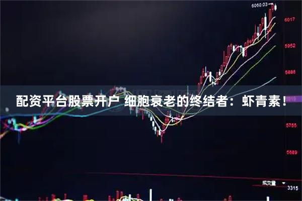 配资平台股票开户 细胞衰老的终结者：虾青素！