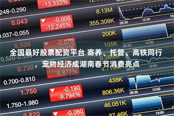 全国最好股票配资平台 寄养、托管、高铁同行 ，宠物经济成湖南春节消费亮点